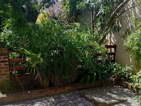 Casa en Alquiler Temporal en Punta Mogotes, $ 60.000