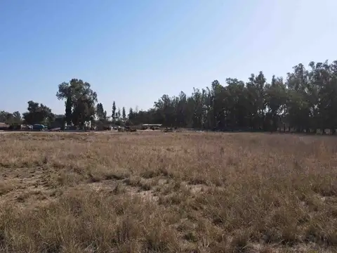 El Carmelo
