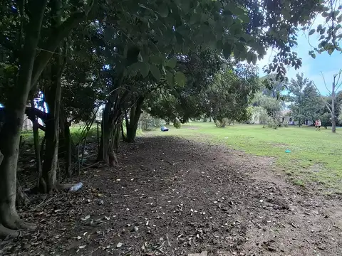 Venta de terreno con casa a reciclar 4500 mts Villa La Ribera - Iriondo