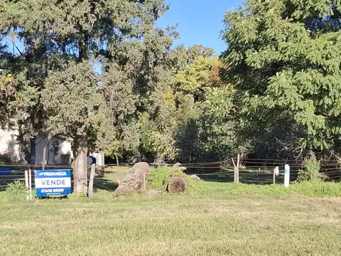 Venta de terreno con casa a reciclar 4500 mts Villa La Ribera - Iriondo