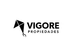 VIGORE PROPIEDADES 