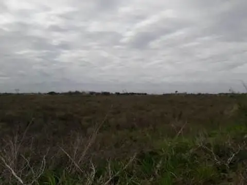 Campo en Venta de 160  ha