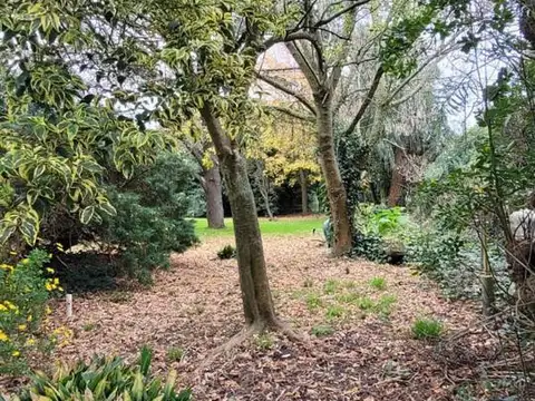 Quinta en Venta - 5 Dormitorios 4 Baños - 400mts - Mar Del Plata