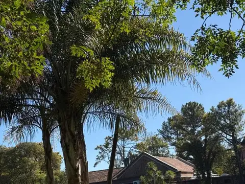 Terreno en Venta en Los Troncos CC. La Lonja Pilar