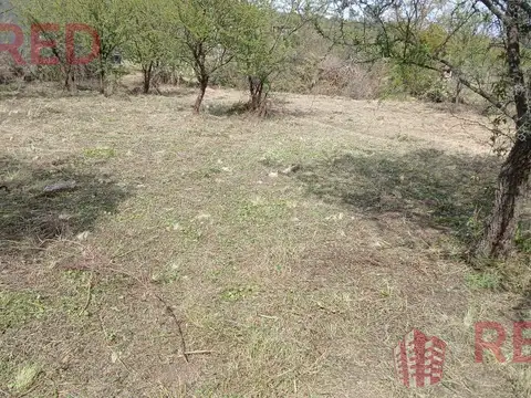 Terreno en Venta 36  mts Fondo