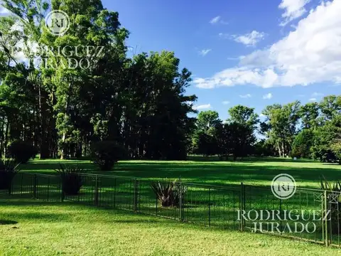 Lote Gigante Haras San Pablo