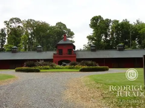 Lote Gigante Haras San Pablo