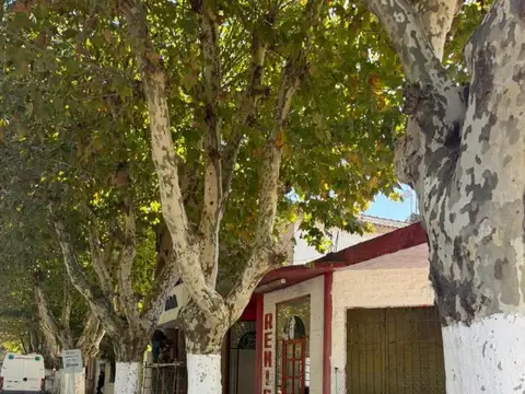 Inmueble en venta, comercial, Marcos Paz.