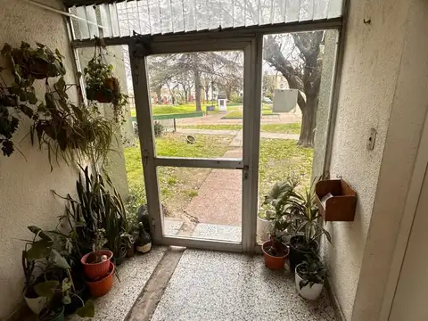 Celina . de Minetto 1400