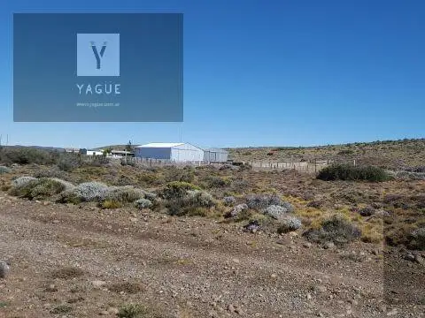 Unidad Económica Productiva para 7.000 lanares y 150 vacunos, permuta y/o financiación.