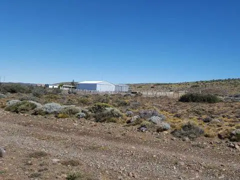 Unidad Económica Productiva para 7.000 lanares y 150 vacunos, permuta y/o financiación.