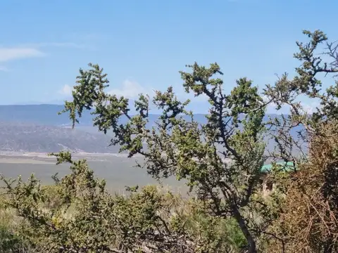 B° Ecologico La Crucesita fracción 100