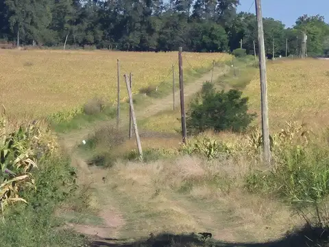 4 Km De Ruta 9 Del Km 134