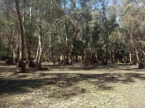 Terreno en Venta en San Miguel Del Monte, USD 45.000