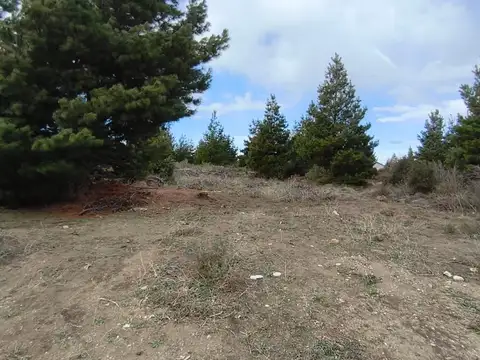 Batalla de Cucha Cucha