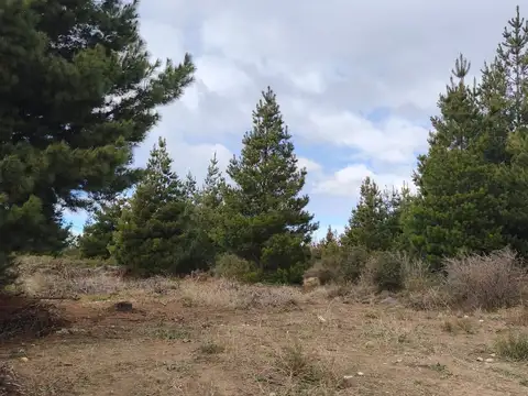 Batalla de Cucha Cucha