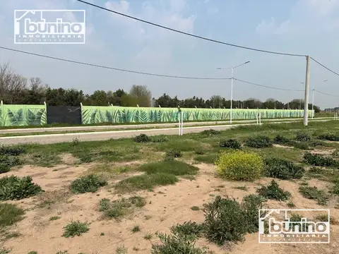 Terreno en Venta de 300,0 m2