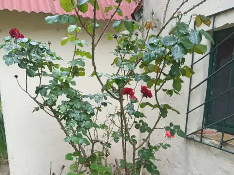 Quinta en Venta de 2 dormitorios