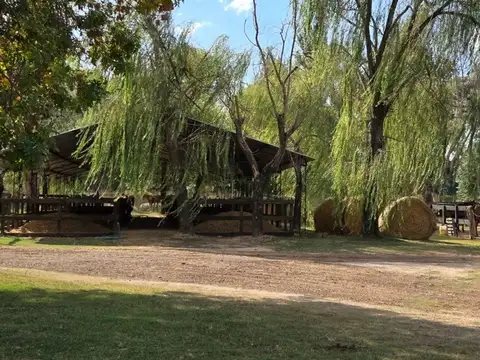 Casa en Alquiler 5 años