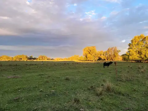 Casa en Venta en Pilar Centro, USD 5.520.000