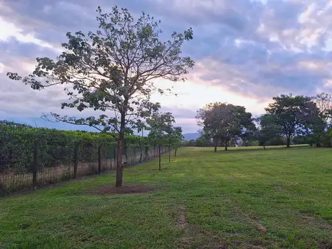 Terreno en Venta de 1972,0 m2