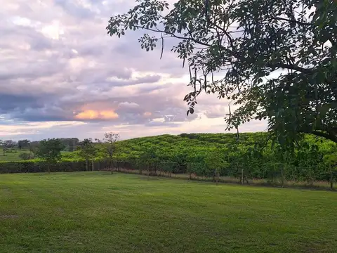 Terreno en Venta en Tafi Viejo, USD 55.000