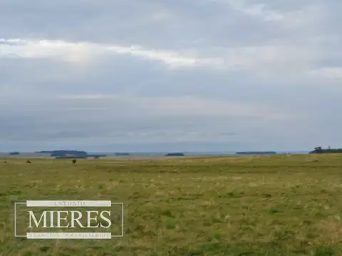 Campo - Venta - Uruguay, Punta del Este