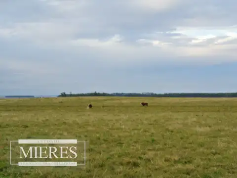 Campo - Venta - Uruguay, Punta del Este