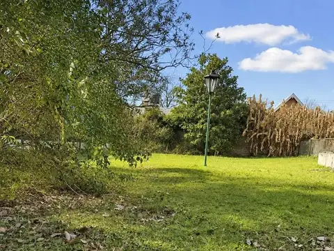 Lote sobre avenida Mitre cerca de Ruta 9. Con potencial comercial