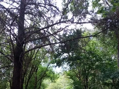 Casa en Alquiler al Oeste