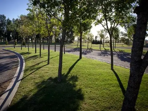 Ruta Provincial 2. Km 64