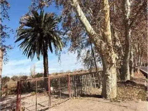 PASCUAL SEGURA , Piso 0