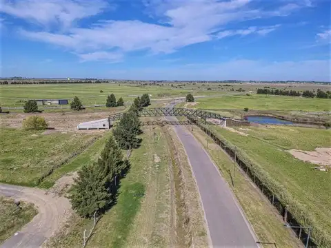 Los pasos del Jocckey