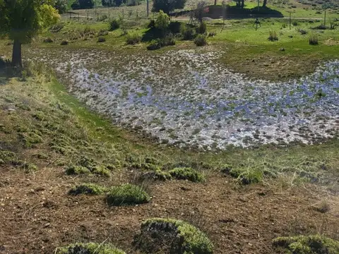 Campo en Venta de 2,10  ha