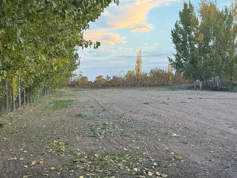 Venta importante galpón en una hectárea y media de terreno en Agrelo, Luján.