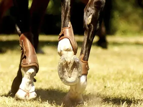 Terreno en Venta en Estancia Villa Maria, USD 32.000