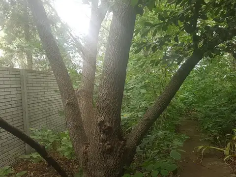 Terreno en Venta de 354,0 m2