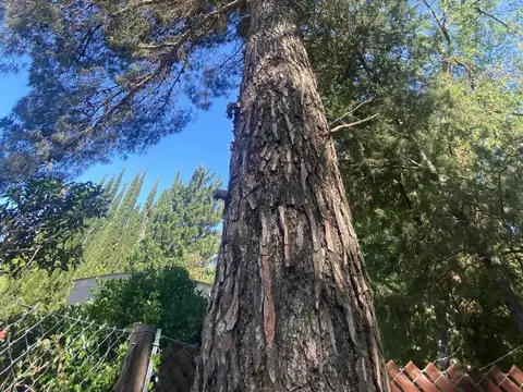 Terreno en Venta de 1800,0 m2