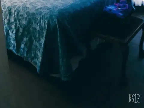 SAN MIGUEL Excel ubicación Chalet 2 Plantas s/300 m2 arbol