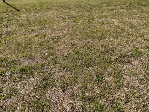 Terreno en Venta en Baradero, USD 22.000