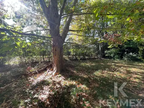 Calle 23 entre 416 y 417 - Casa en venta