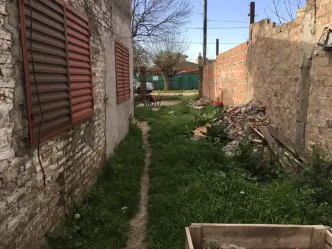 Cabildo Abierto 100