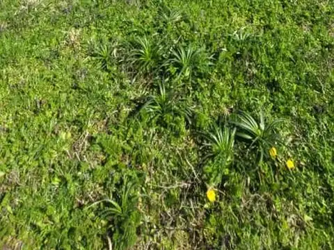 Terreno en Venta 20  mts Frente