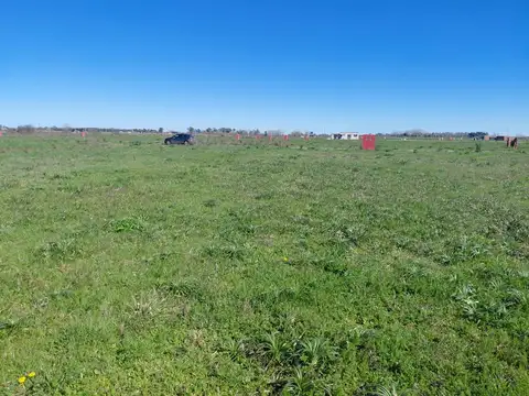 Terreno en Venta 40  mts Fondo