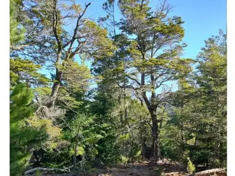 SE VENDE HERMOSO CAMPO