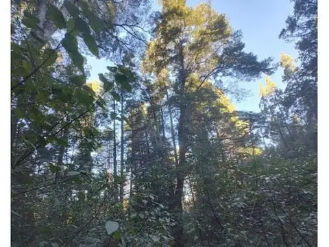 SE VENDE HERMOSO CAMPO