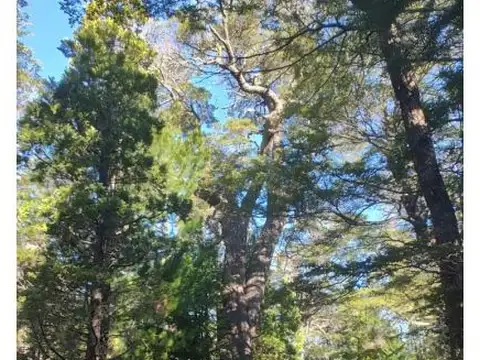 SE VENDE HERMOSO CAMPO