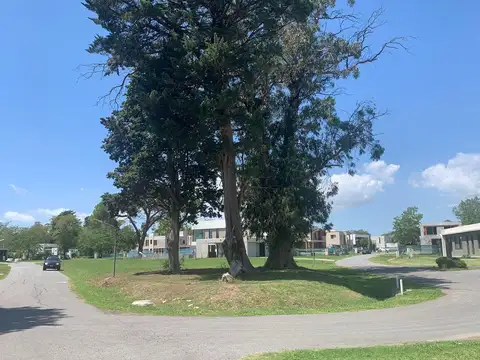 Terreno en venta  GreenVille Polo