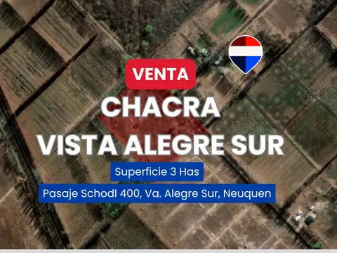 VENTA CHACRA 3 HAS VISTA ALEGRE SUR