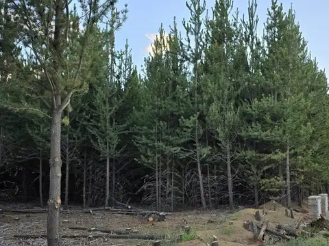 Venta Terreno en Bariloche Dos Valles Lote O 19